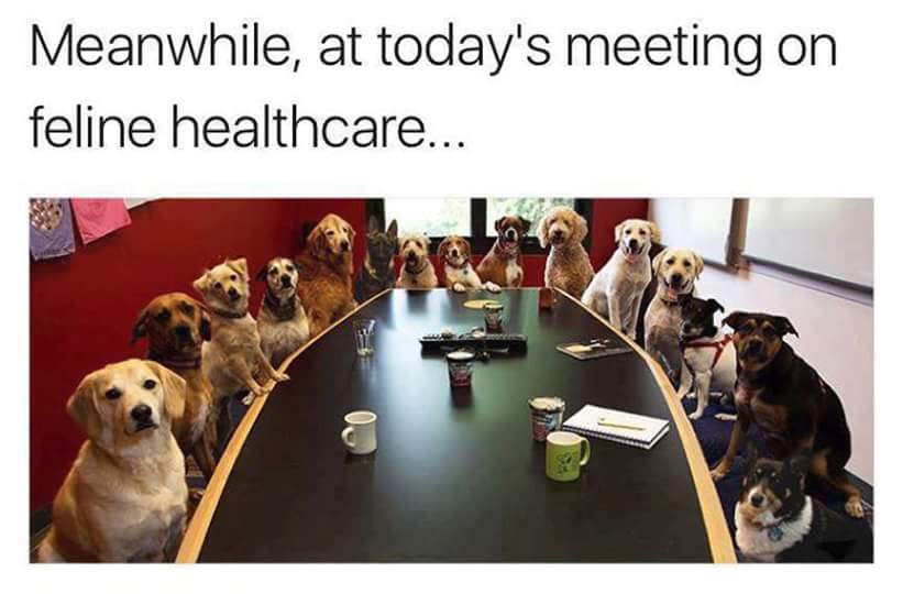 fb_img_1490447974802.jpg