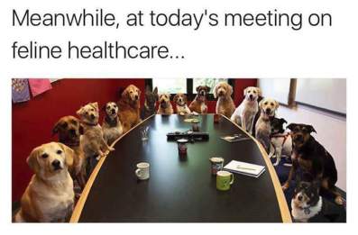 fb_img_1490447974802.jpg