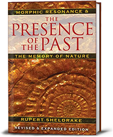 Presence-of-the-Past